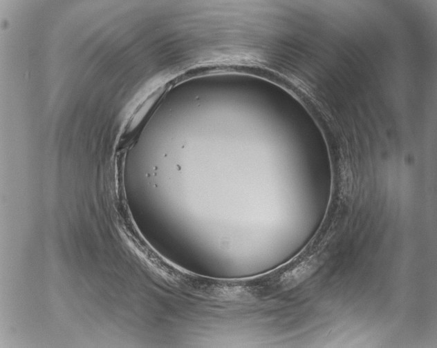 X0000057090982200509120914