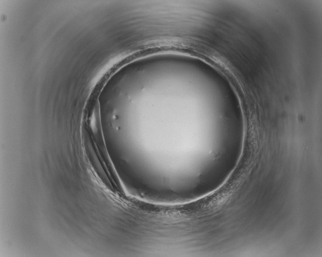 X0000057090983200509120914