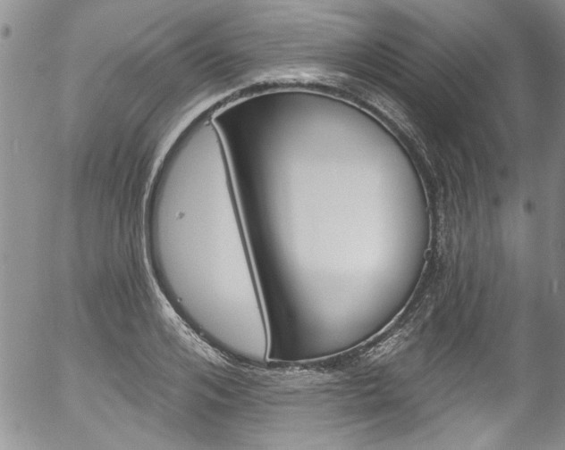 X0000057090984200509120914