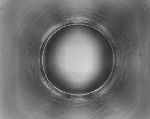 X0000057090986200509120914