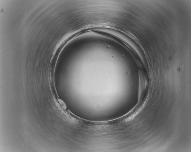 X0000057090989200509120914