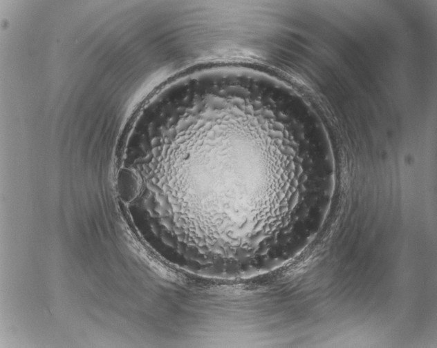 X0000057090990200509120914