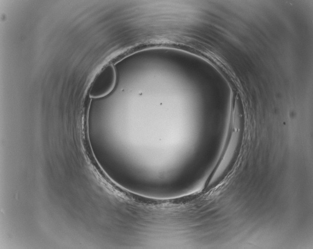 X0000057090992200509120914