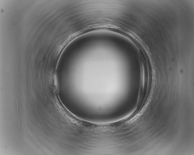 X0000057090993200509120914