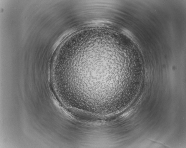 X0000057090994200509120914