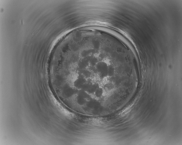 X0000057090995200509120914