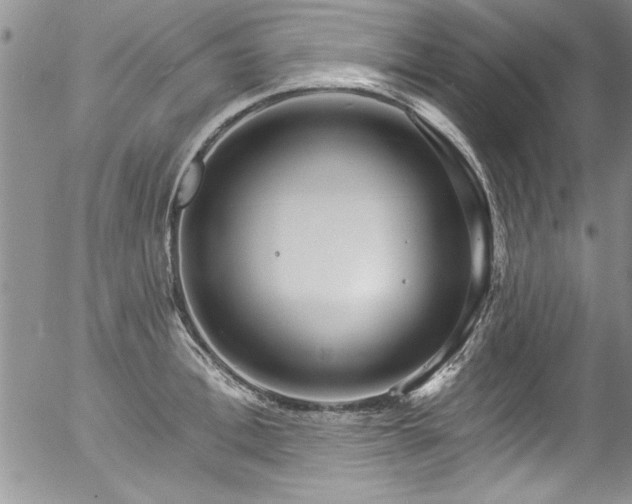 X0000057090996200509120914