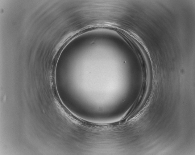 X0000057090997200509120914