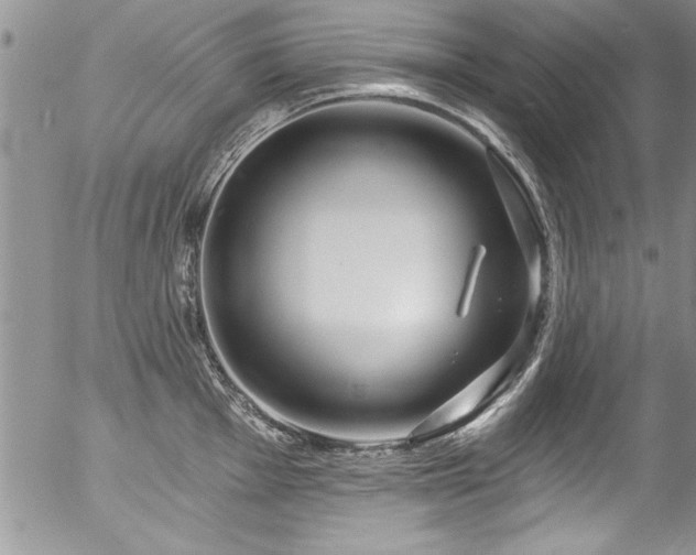 X0000057091001200509120914