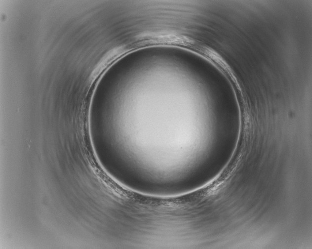 X0000057091002200509120914