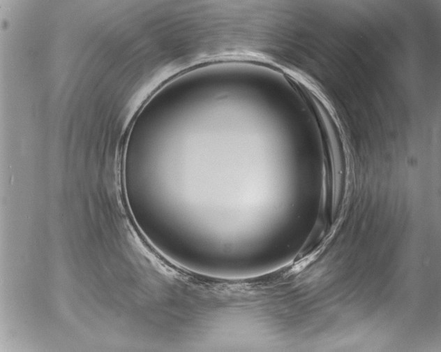 X0000057091006200509120914