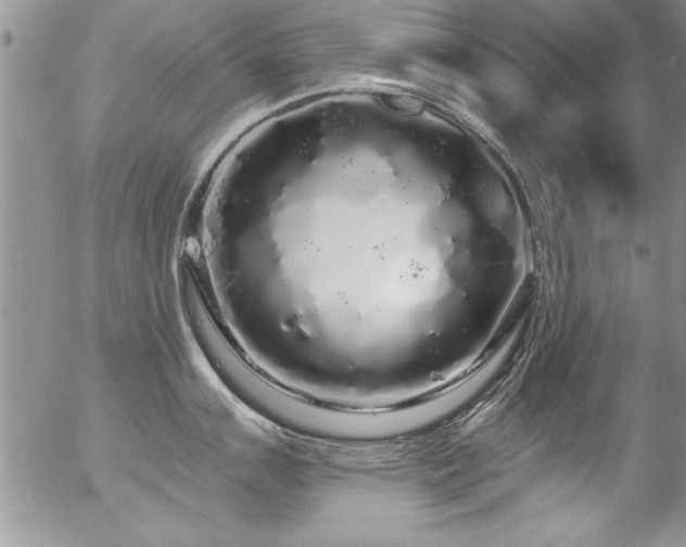 X0000057091007200509120914