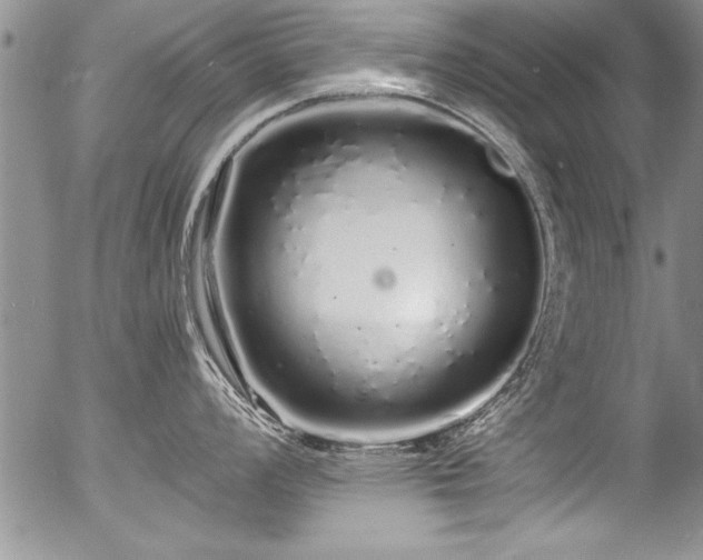 X0000057091008200509120914