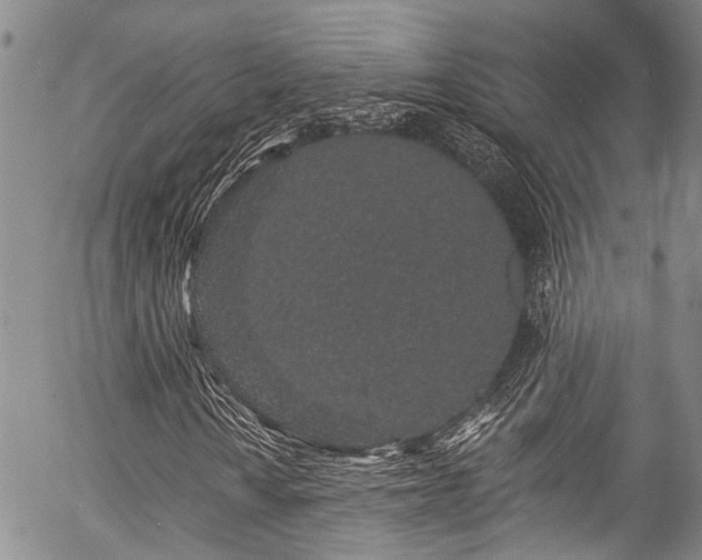 X0000057091010200509120913