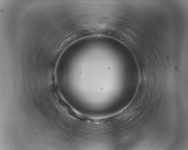 X0000057091012200509120913