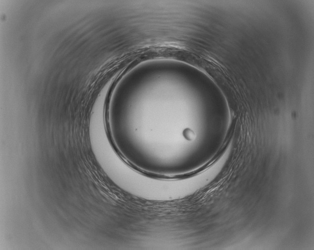 X0000057091014200509120913