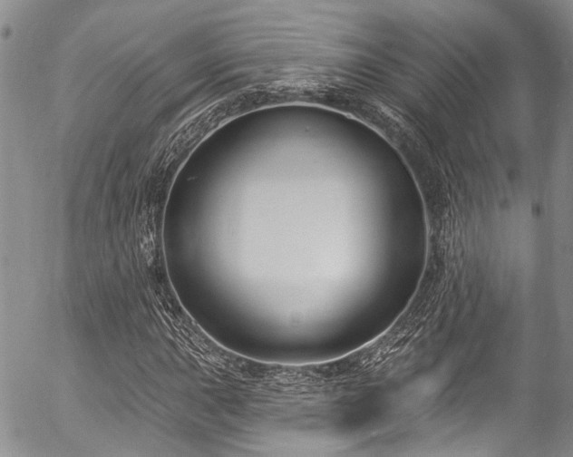 X0000057091015200509120913