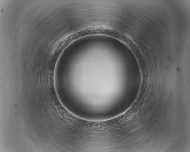 X0000057091016200509120913