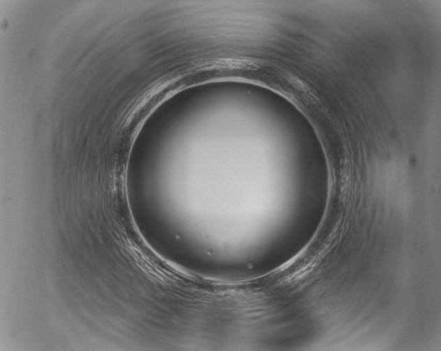 X0000057091017200509120913