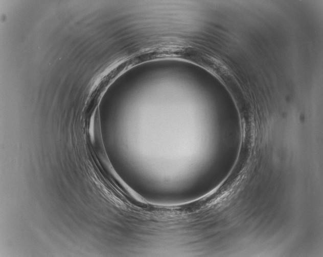 X0000057091018200509120913