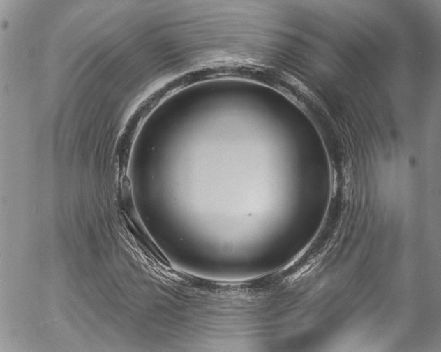 X0000057091021200509120913