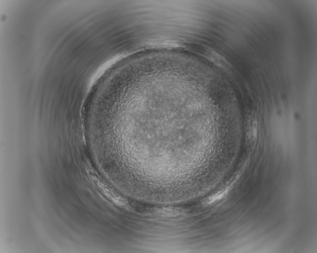 X0000057091022200509120913