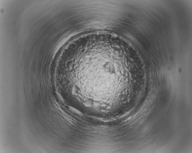 X0000057091023200509120913