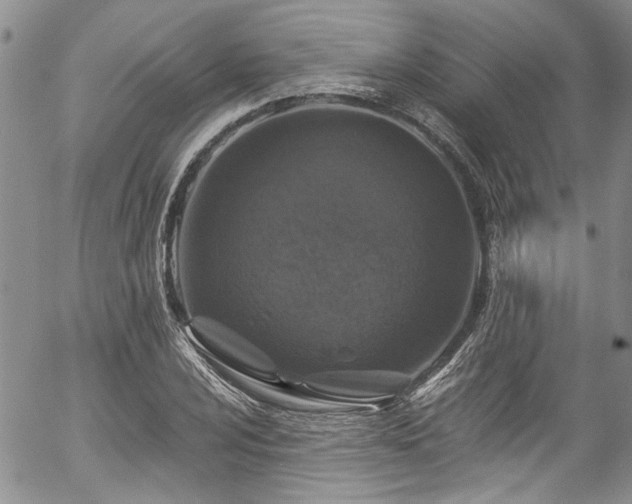 X0000057091024200509120914