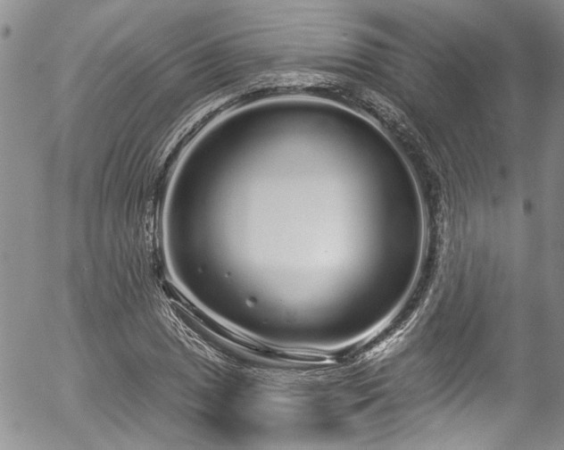 X0000057091025200509120914