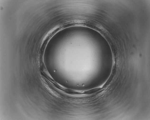 X0000057091026200509120914