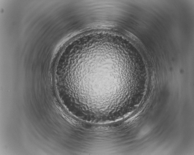 X0000057091027200509120914