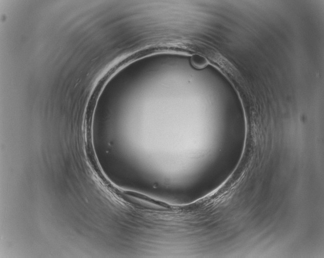 X0000057091028200509120914