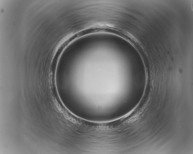 X0000057091029200509120914