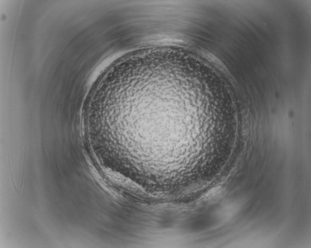 X0000057091031200509120914