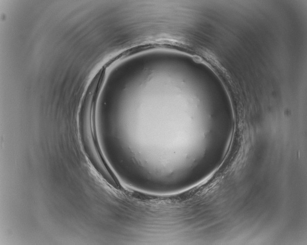 X0000057091032200509120914