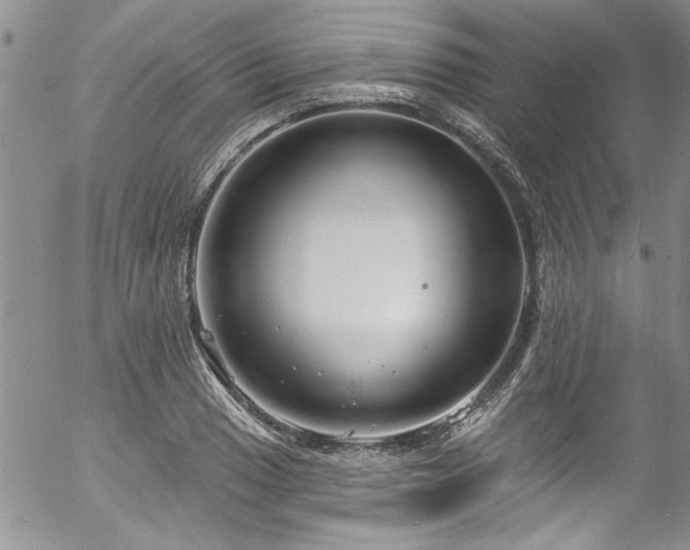 X0000057091033200509120914