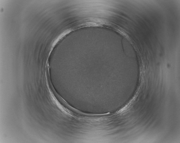 X0000057091034200509120914