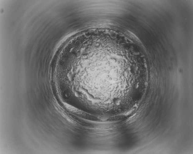 X0000057091035200509120914