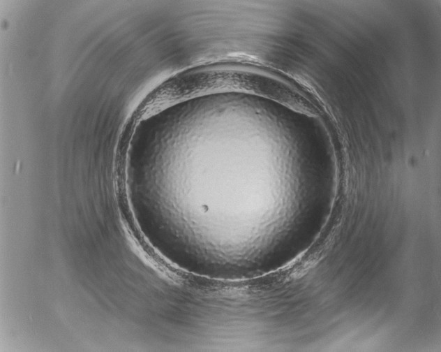 X0000057091038200509120914