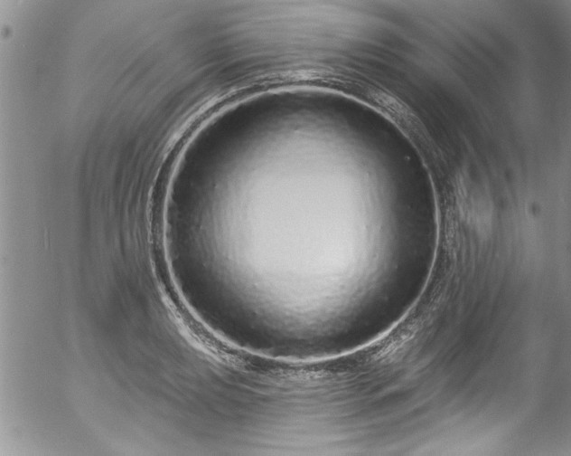 X0000057091039200509120914