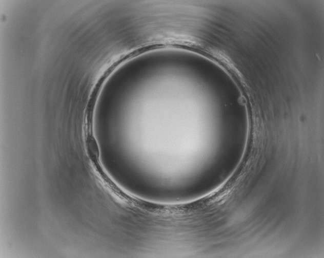 X0000057091040200509120914