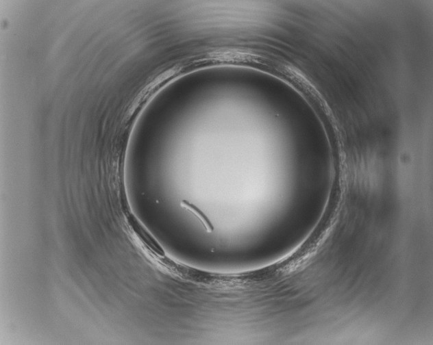 X0000057091041200509120914