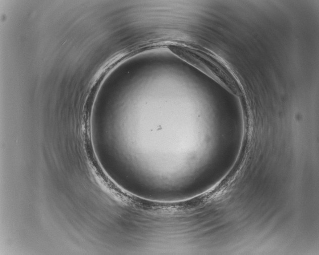 X0000057091042200509120914