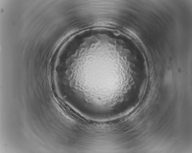 X0000057091043200509120914