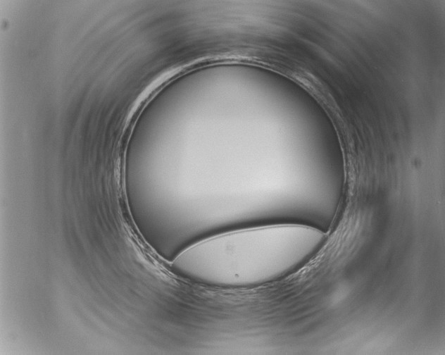 X0000057091044200509120914