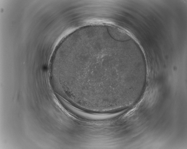 X0000057091045200509120914