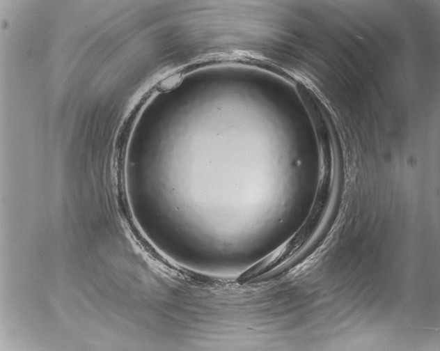 X0000057091046200509120914