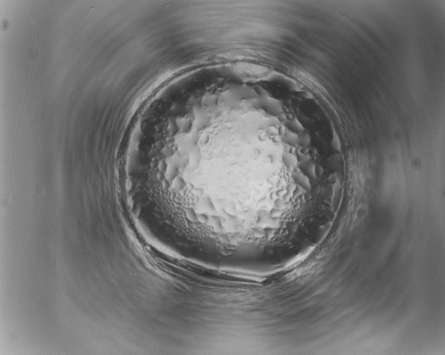 X0000057091047200509120914