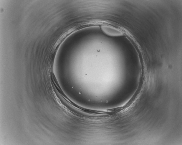 X0000057091049200509120914