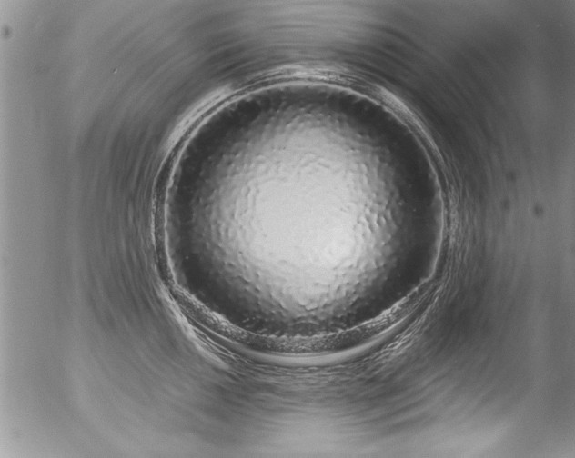 X0000057091050200509120914